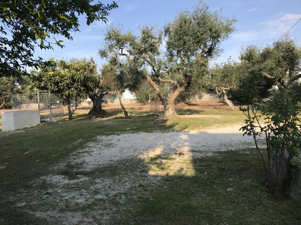 Villa Il Trullo Di Santanna Locorotondo Exterior foto